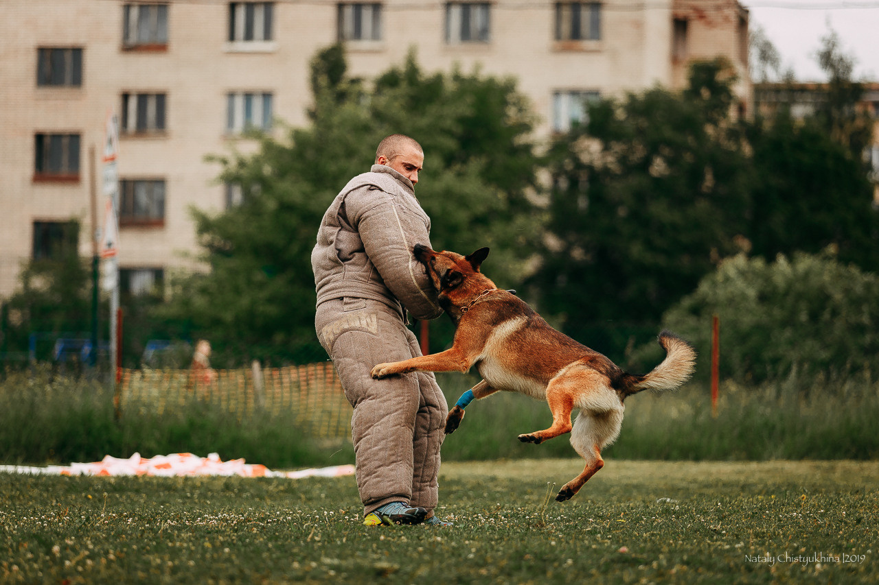 Соревнования БРР. Фотограф-анималист Наталия Чистюхина в г. Сосновый Бор и ЛО