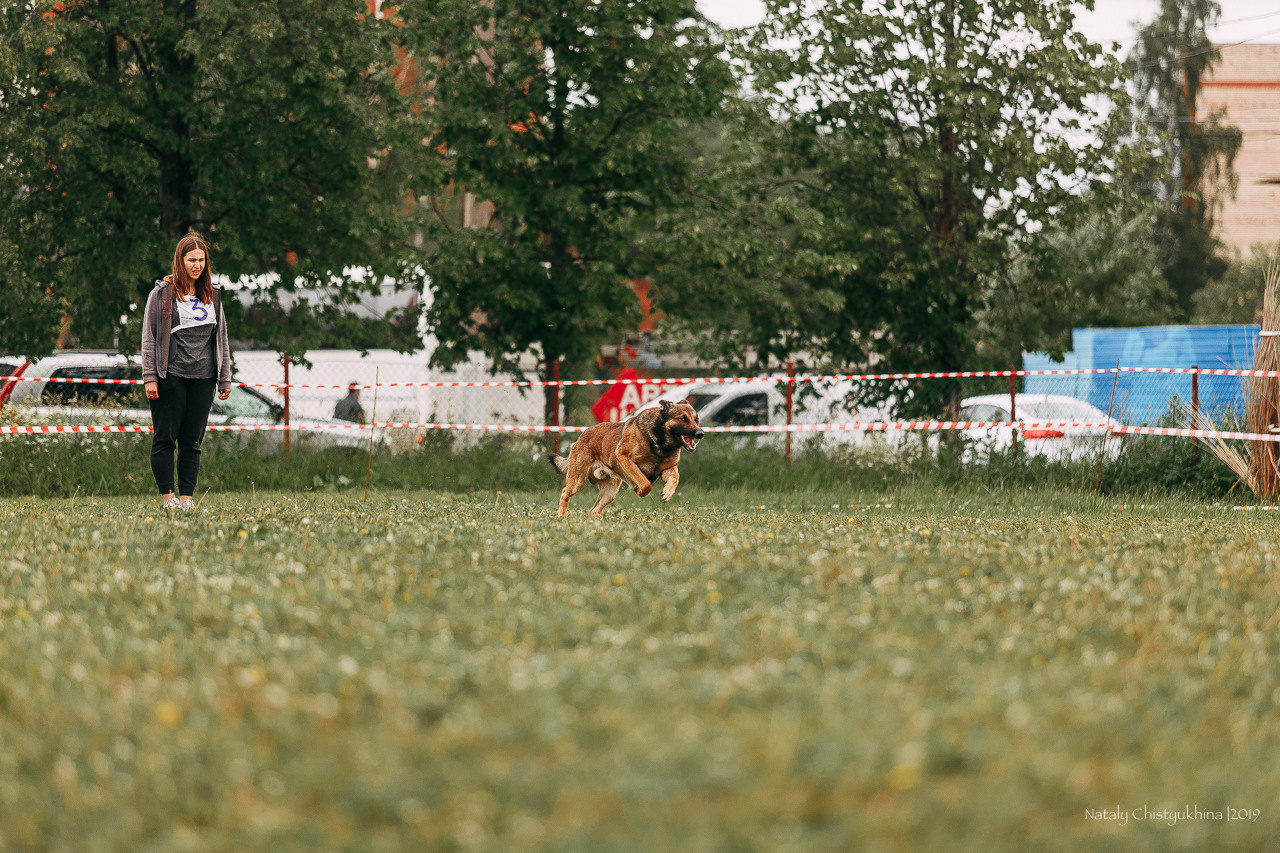 Соревнования БРР. Фотограф-анималист Наталия Чистюхина в г. Сосновый Бор и ЛО