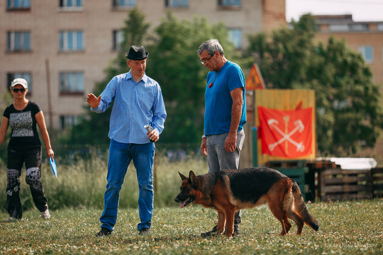 Соревнования по мондьорингу. Фотограф-анималист Наталия Чистюхина в г. Сосновый Бор и ЛО
