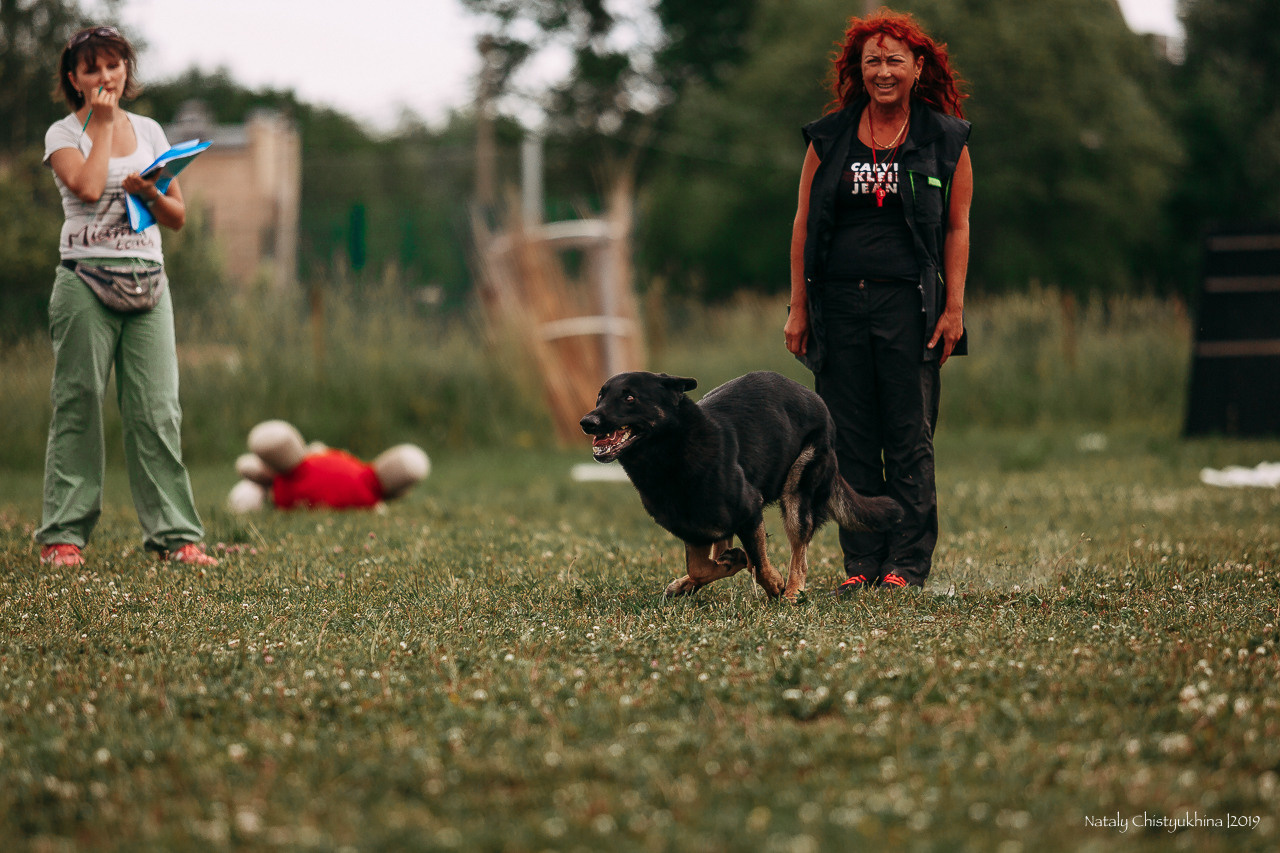 Соревнования по мондьорингу. Фотограф-анималист Наталия Чистюхина в г. Сосновый Бор и ЛО