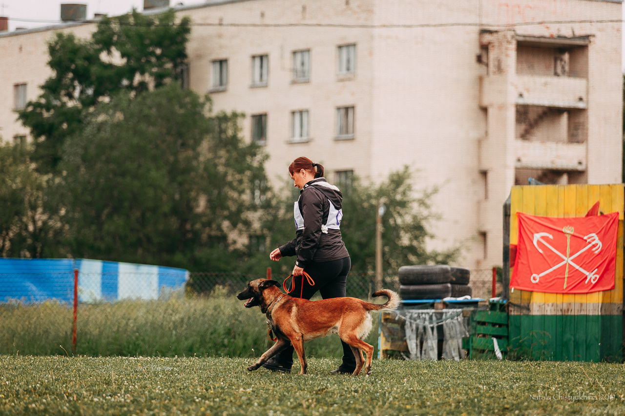 Соревнования БРР. Фотограф-анималист Наталия Чистюхина в г. Сосновый Бор и ЛО