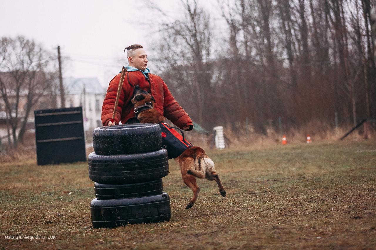 Семинары по мондио. Фотограф-анималист Наталия Чистюхина в г. Сосновый Бор и ЛО