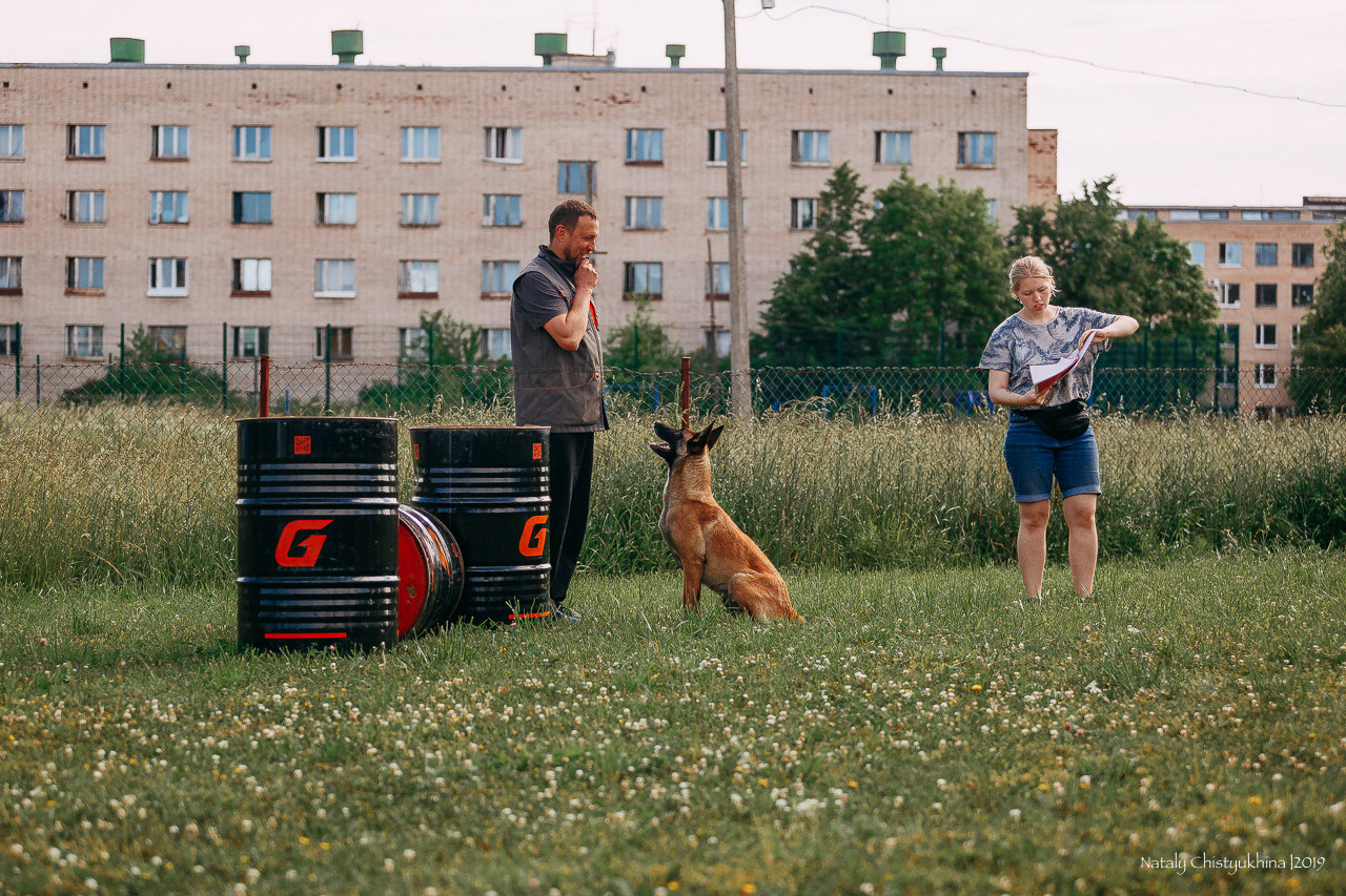 Соревнования по мондьорингу. Фотограф-анималист Наталия Чистюхина в г. Сосновый Бор и ЛО