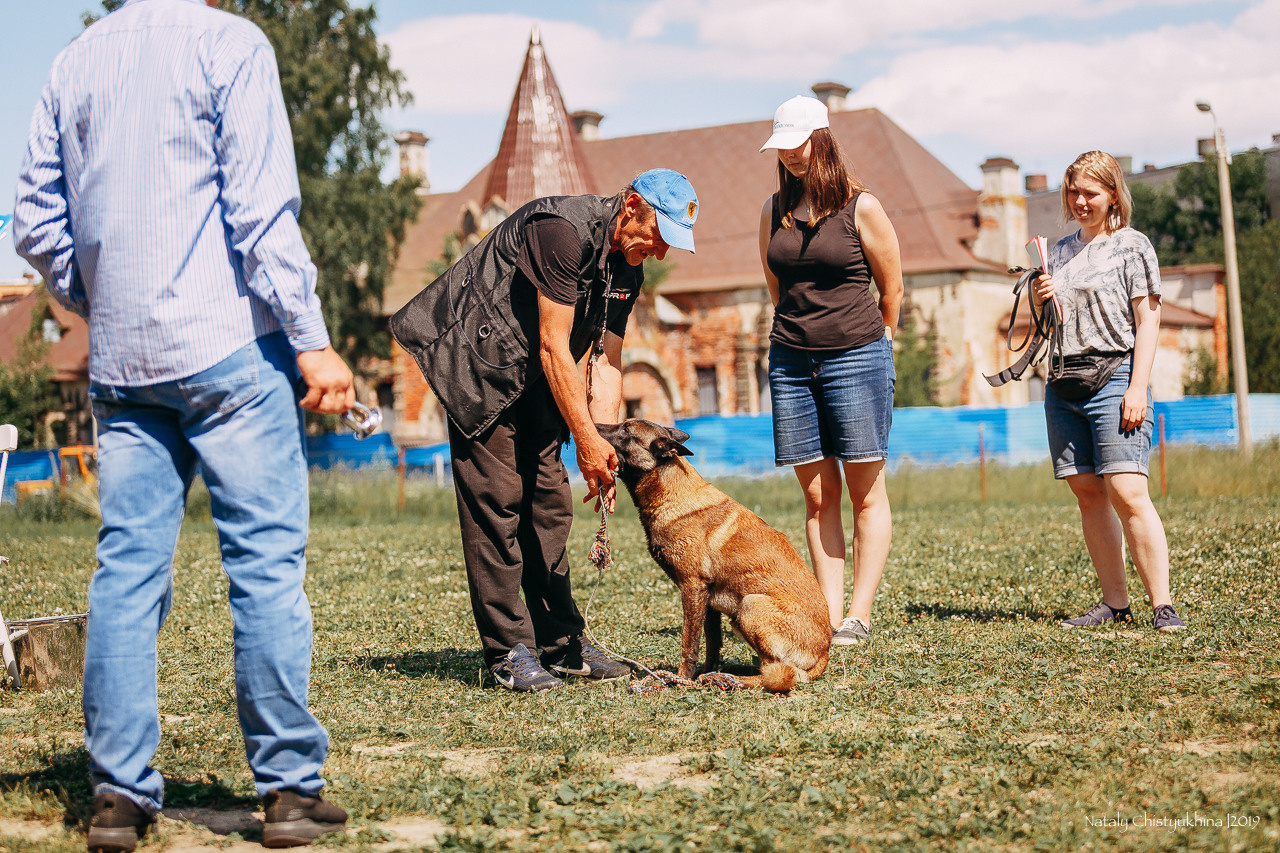 Соревнования по мондьорингу. Фотограф-анималист Наталия Чистюхина в г. Сосновый Бор и ЛО