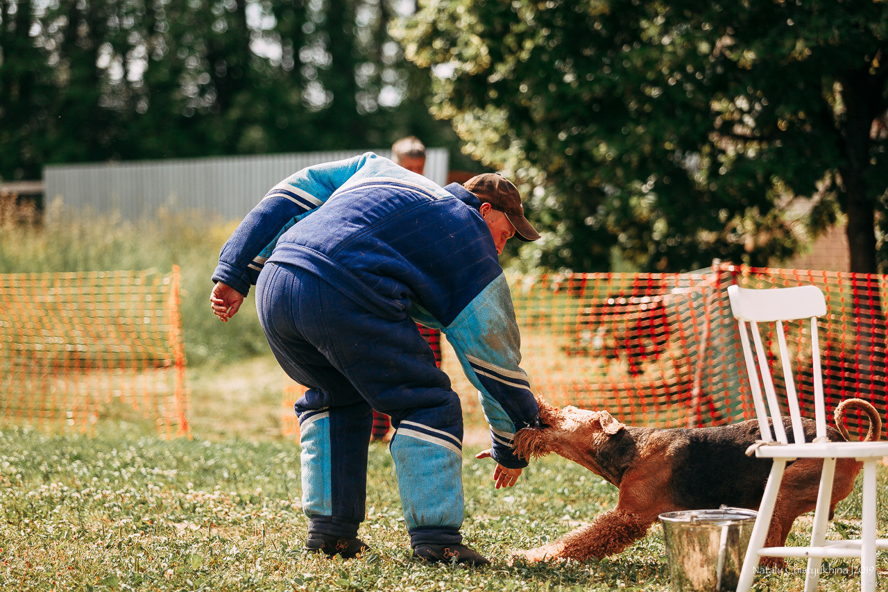 Соревнования по мондьорингу. Фотограф-анималист Наталия Чистюхина в г. Сосновый Бор и ЛО