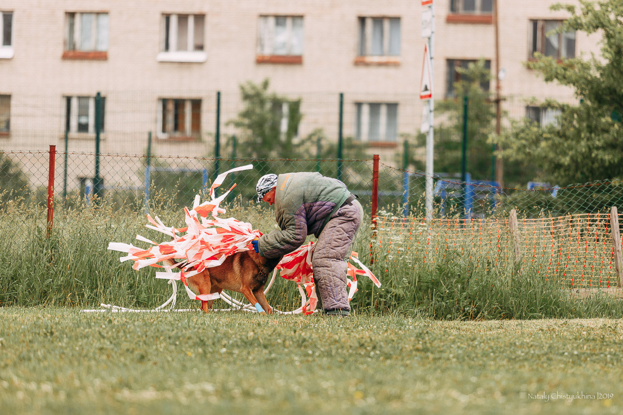 Соревнования БРР. Фотограф-анималист Наталия Чистюхина в г. Сосновый Бор и ЛО