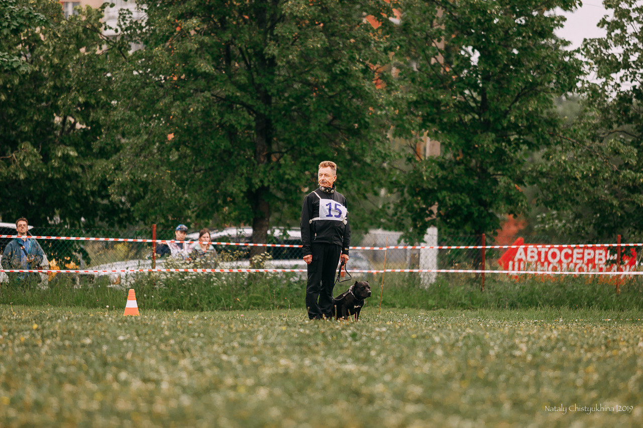Соревнования БРР. Фотограф-анималист Наталия Чистюхина в г. Сосновый Бор и ЛО