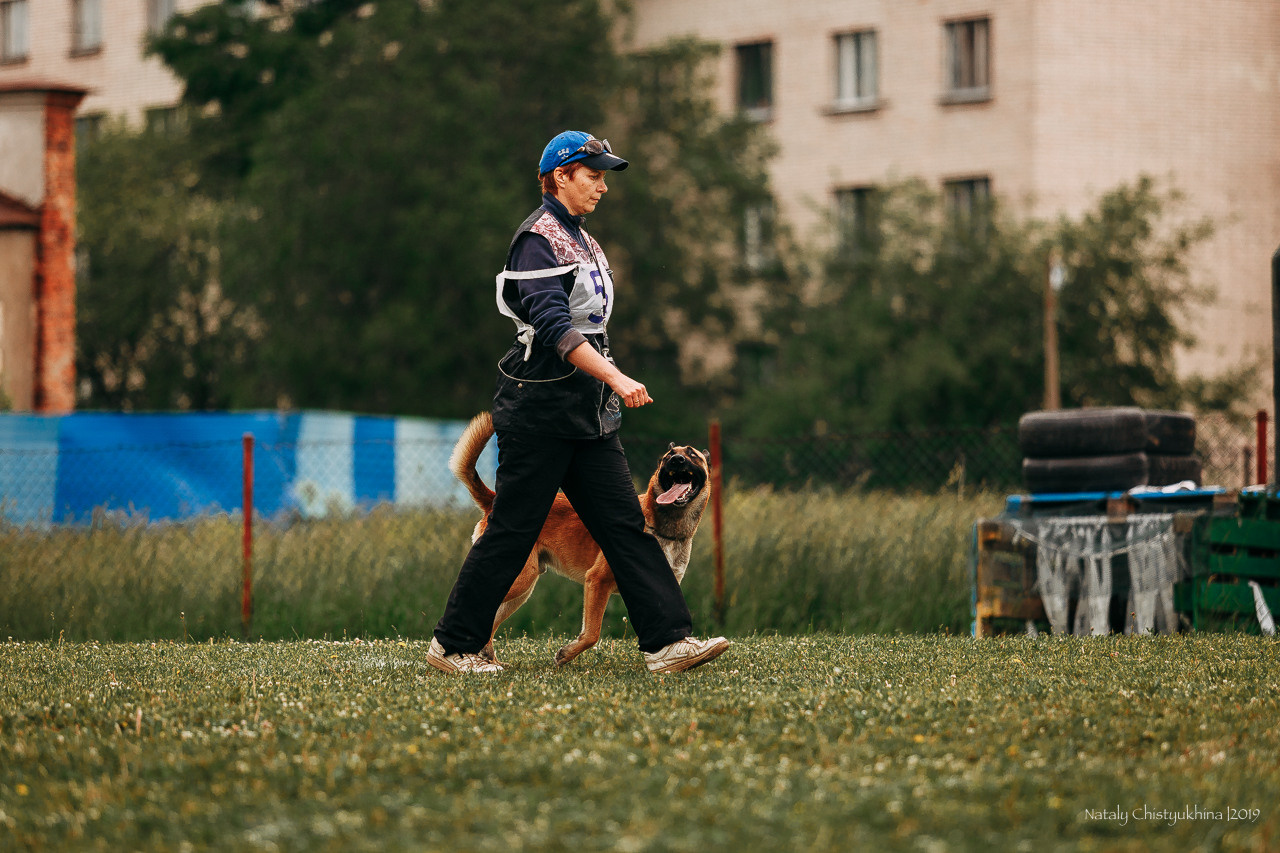 Соревнования БРР. Фотограф-анималист Наталия Чистюхина в г. Сосновый Бор и ЛО