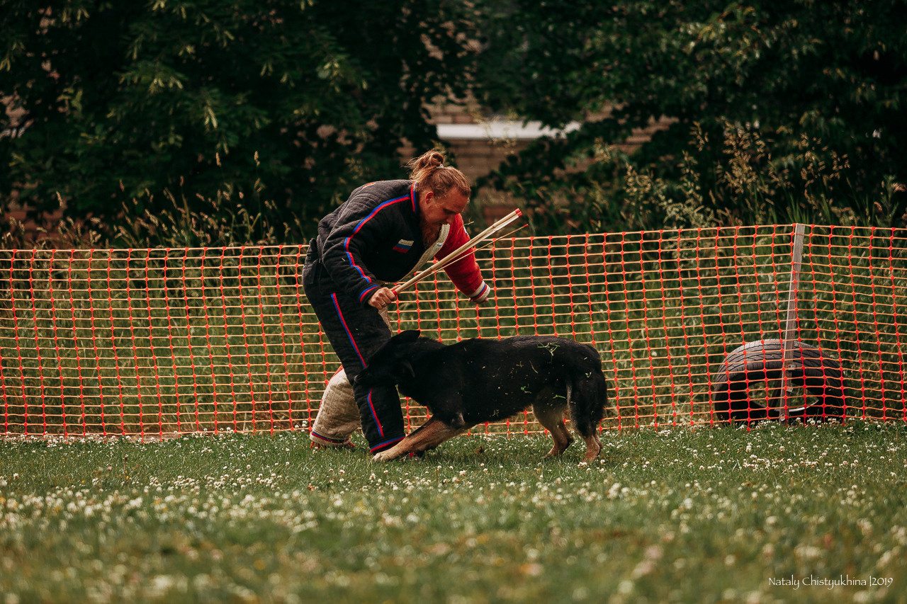 Соревнования по мондьорингу. Фотограф-анималист Наталия Чистюхина в г. Сосновый Бор и ЛО