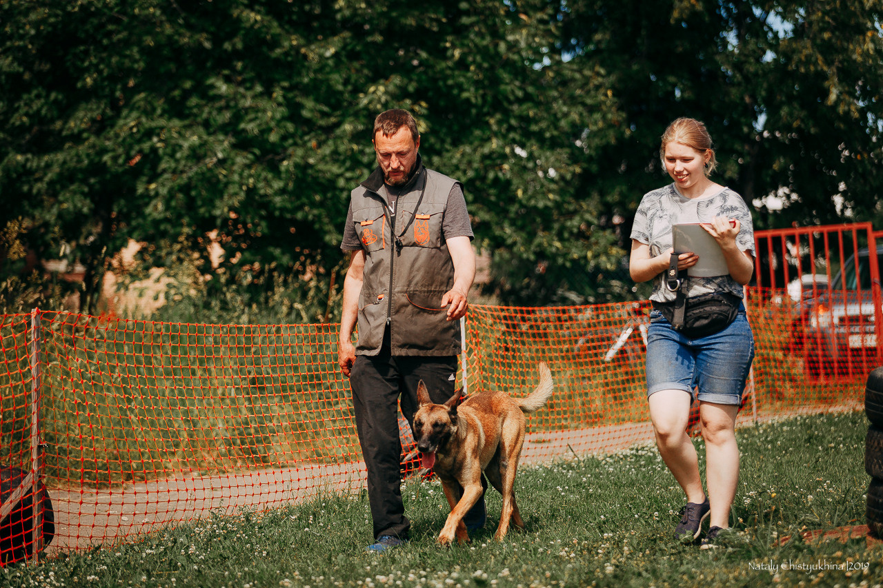 Соревнования по мондьорингу. Фотограф-анималист Наталия Чистюхина в г. Сосновый Бор и ЛО