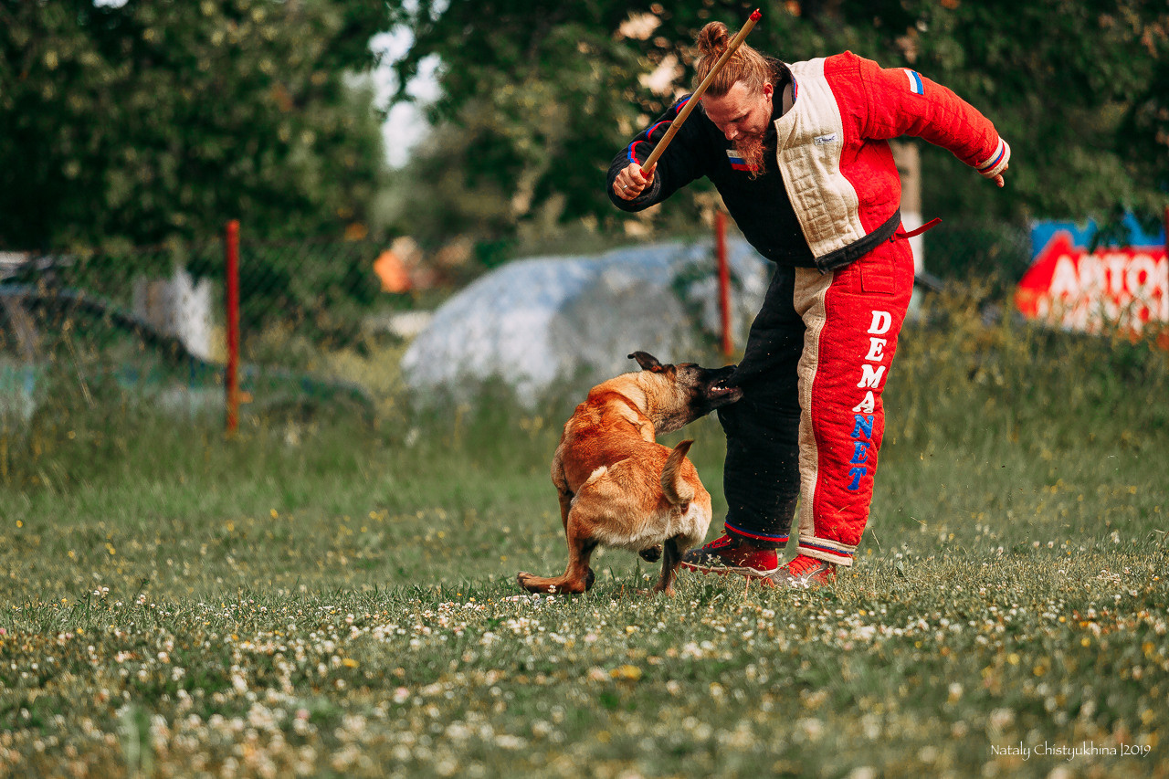 Соревнования по мондьорингу. Фотограф-анималист Наталия Чистюхина в г. Сосновый Бор и ЛО