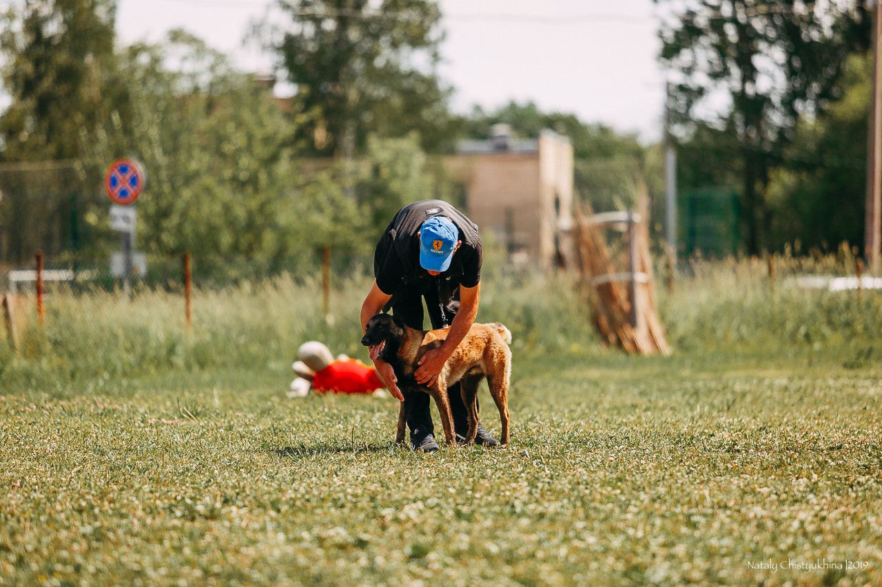 Соревнования по мондьорингу. Фотограф-анималист Наталия Чистюхина в г. Сосновый Бор и ЛО