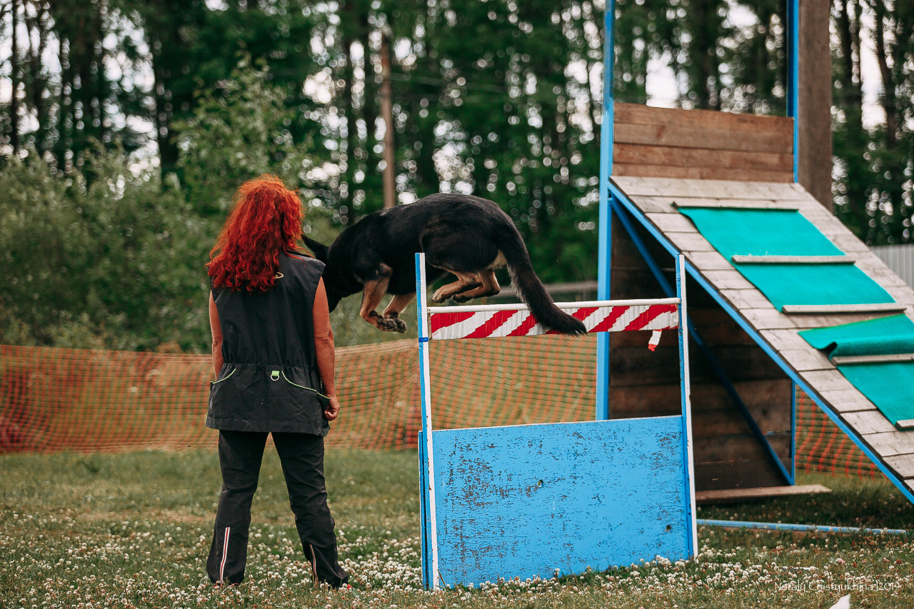 Соревнования по мондьорингу. Фотограф-анималист Наталия Чистюхина в г. Сосновый Бор и ЛО