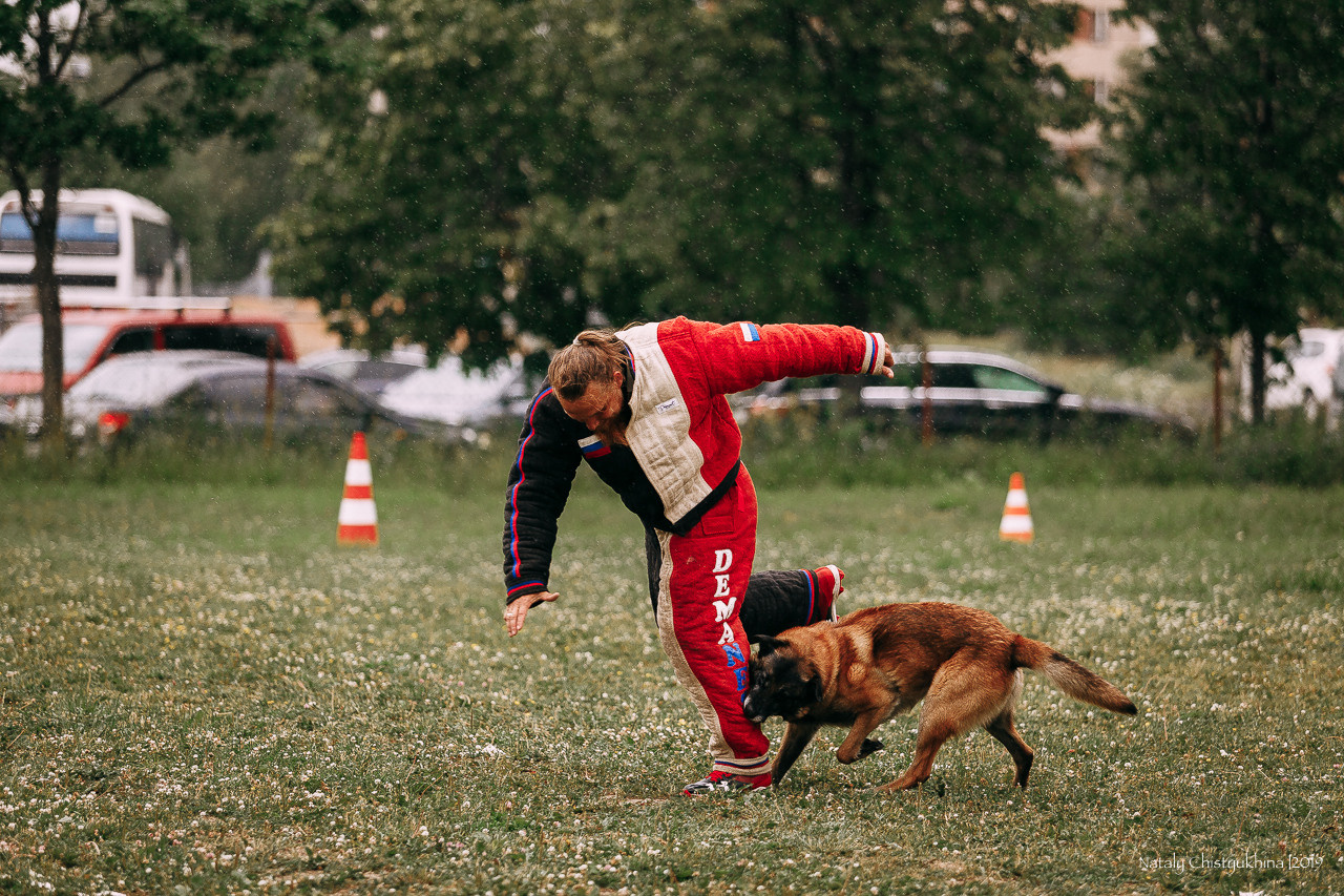 Соревнования по мондьорингу. Фотограф-анималист Наталия Чистюхина в г. Сосновый Бор и ЛО