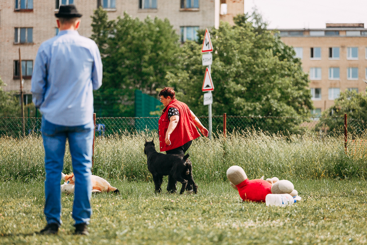 Соревнования по мондьорингу. Фотограф-анималист Наталия Чистюхина в г. Сосновый Бор и ЛО