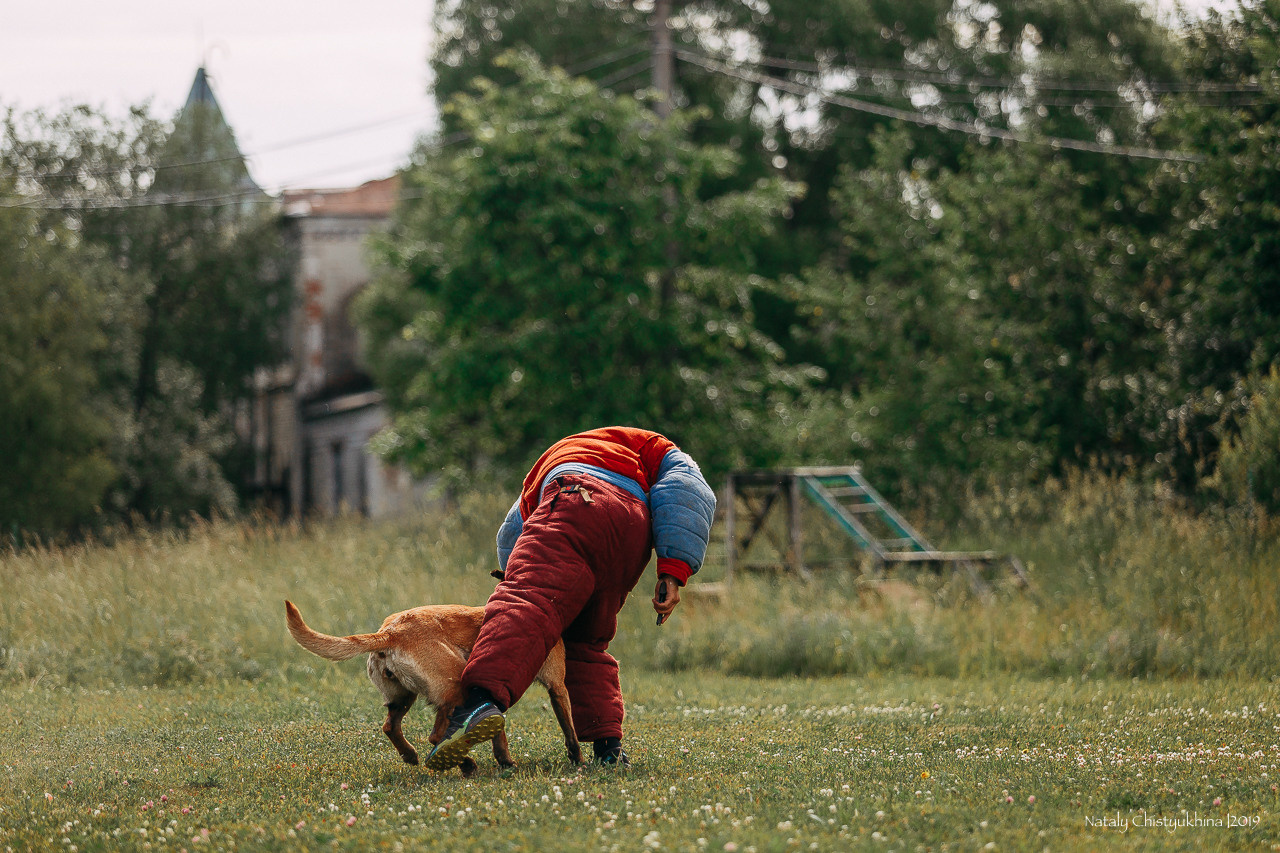 Соревнования по мондьорингу. Фотограф-анималист Наталия Чистюхина в г. Сосновый Бор и ЛО