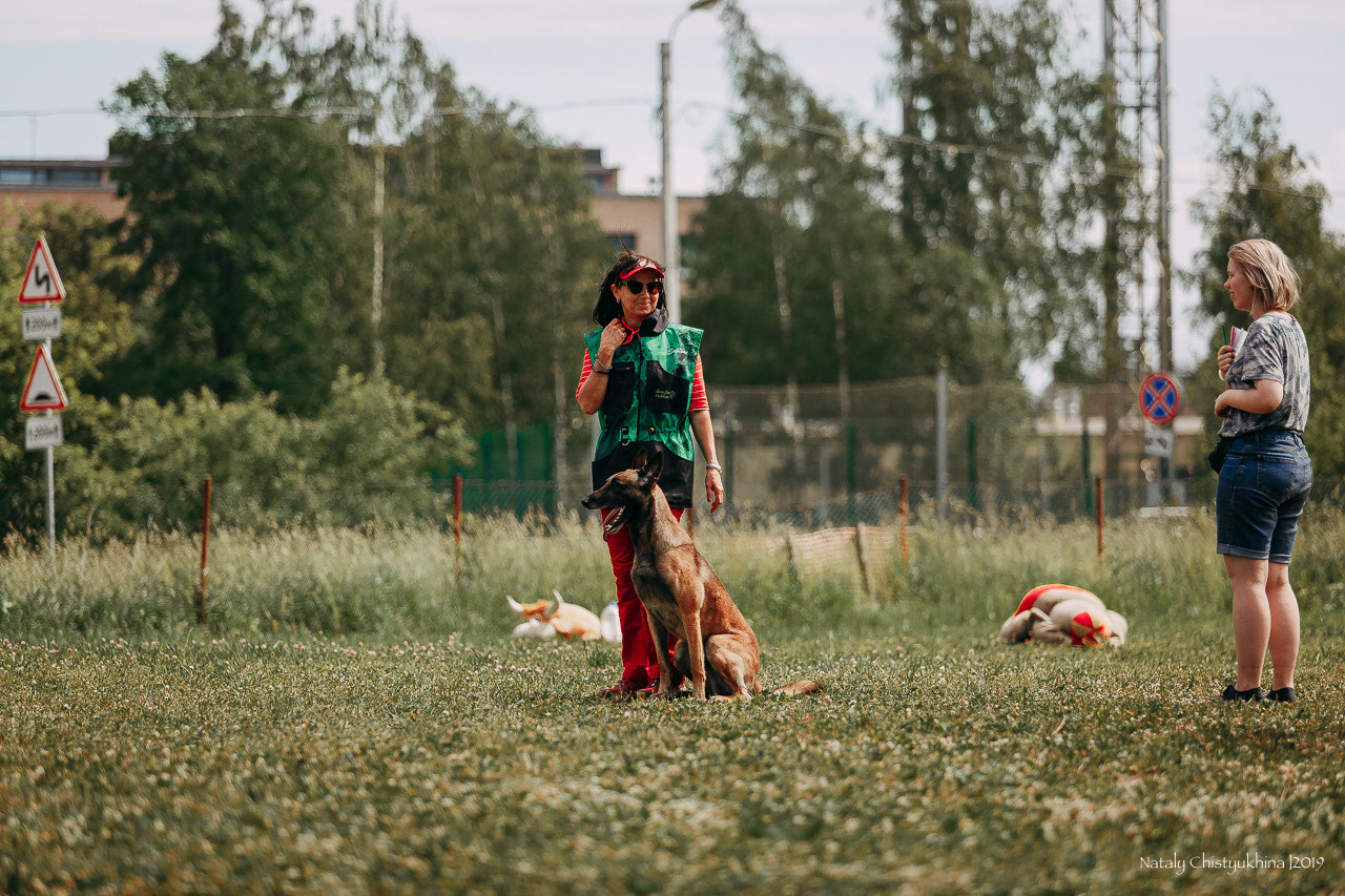 Соревнования по мондьорингу. Фотограф-анималист Наталия Чистюхина в г. Сосновый Бор и ЛО