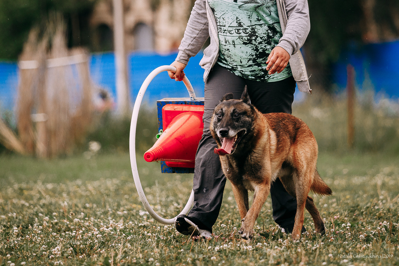 Соревнования по мондьорингу. Фотограф-анималист Наталия Чистюхина в г. Сосновый Бор и ЛО