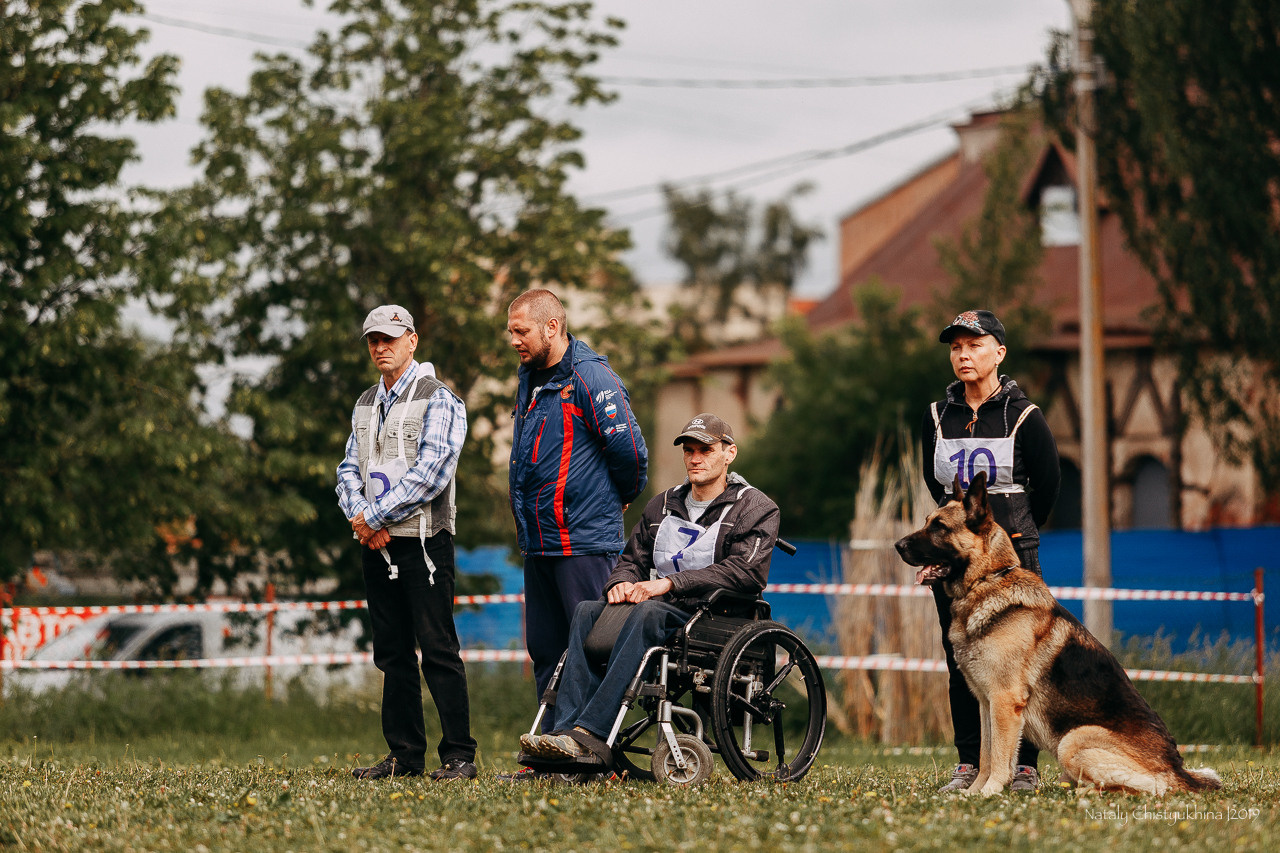 Соревнования БРР. Фотограф-анималист Наталия Чистюхина в г. Сосновый Бор и ЛО