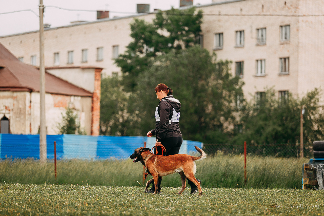 Соревнования БРР. Фотограф-анималист Наталия Чистюхина в г. Сосновый Бор и ЛО