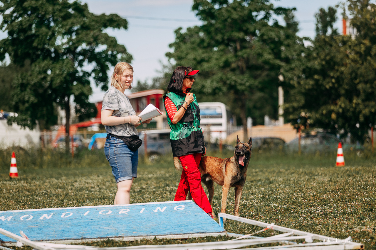 Соревнования по мондьорингу. Фотограф-анималист Наталия Чистюхина в г. Сосновый Бор и ЛО
