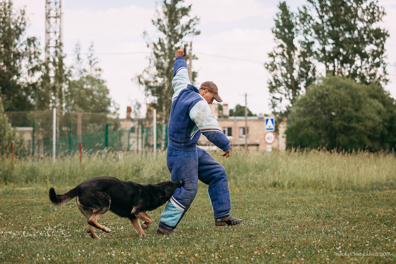 Соревнования по мондьорингу. Фотограф-анималист Наталия Чистюхина в г. Сосновый Бор и ЛО