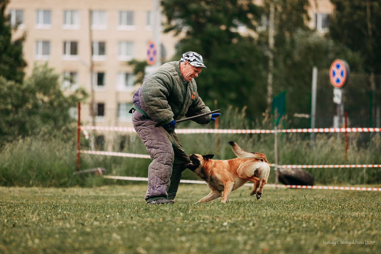 Соревнования БРР. Фотограф-анималист Наталия Чистюхина в г. Сосновый Бор и ЛО