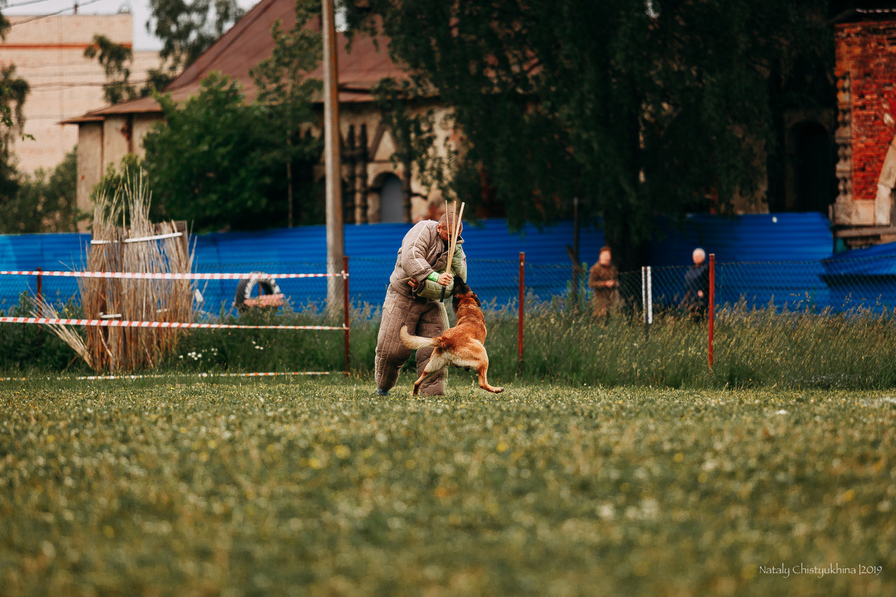 Соревнования БРР. Фотограф-анималист Наталия Чистюхина в г. Сосновый Бор и ЛО