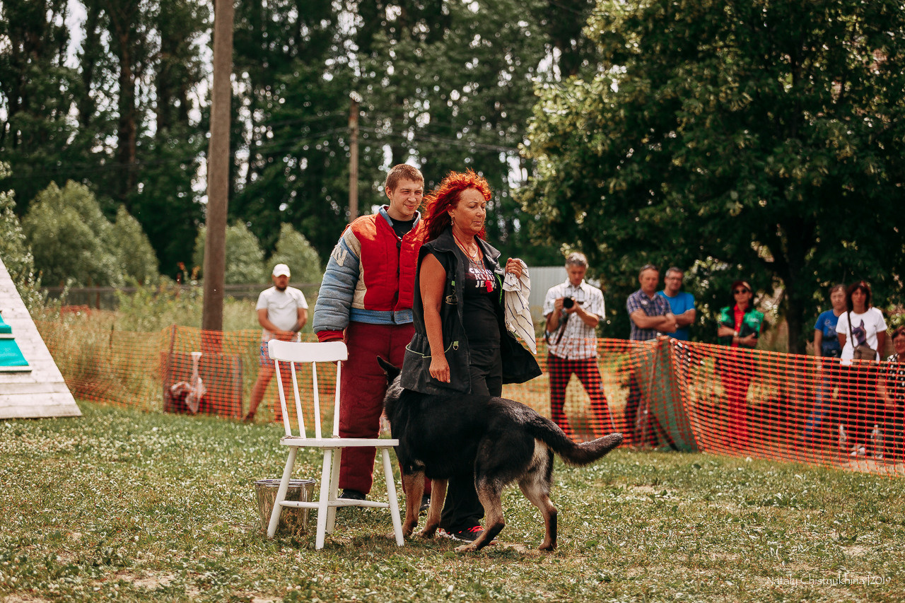 Соревнования по мондьорингу. Фотограф-анималист Наталия Чистюхина в г. Сосновый Бор и ЛО