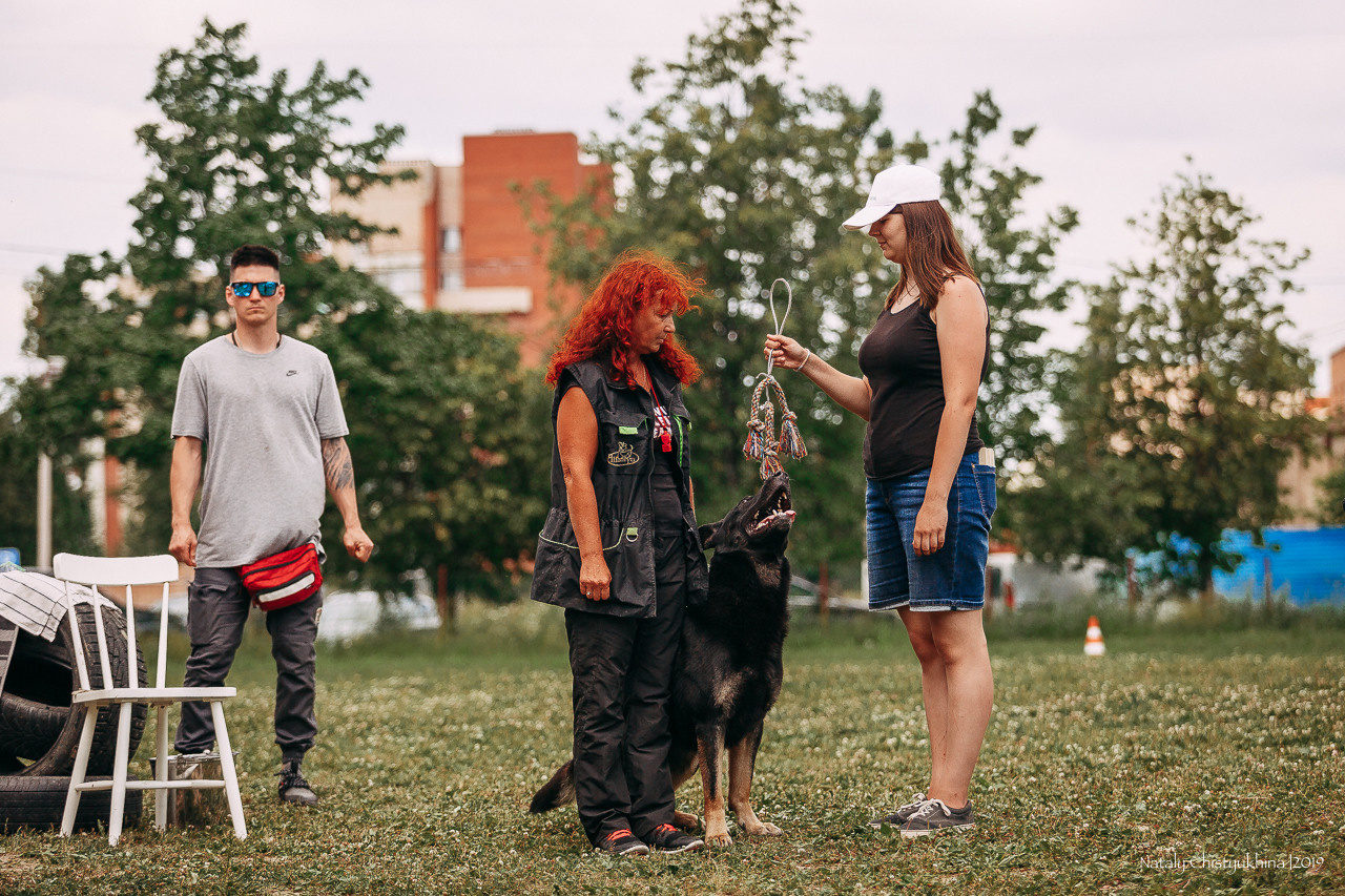 Соревнования по мондьорингу. Фотограф-анималист Наталия Чистюхина в г. Сосновый Бор и ЛО