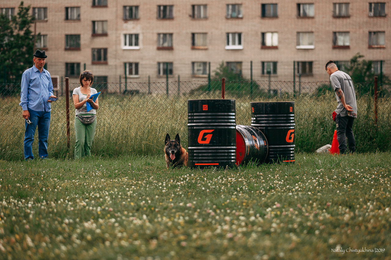 Соревнования по мондьорингу. Фотограф-анималист Наталия Чистюхина в г. Сосновый Бор и ЛО