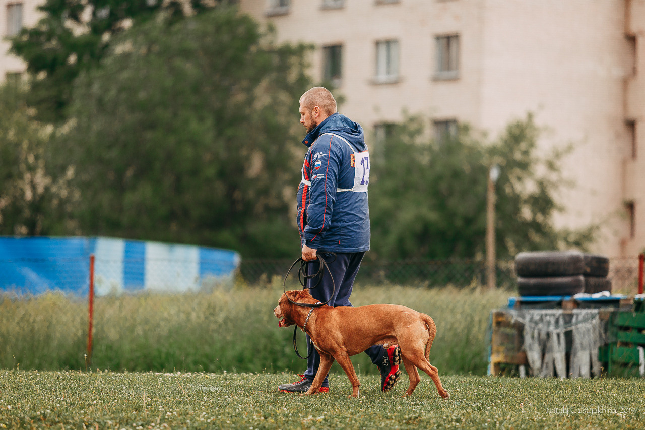 Соревнования БРР. Фотограф-анималист Наталия Чистюхина в г. Сосновый Бор и ЛО