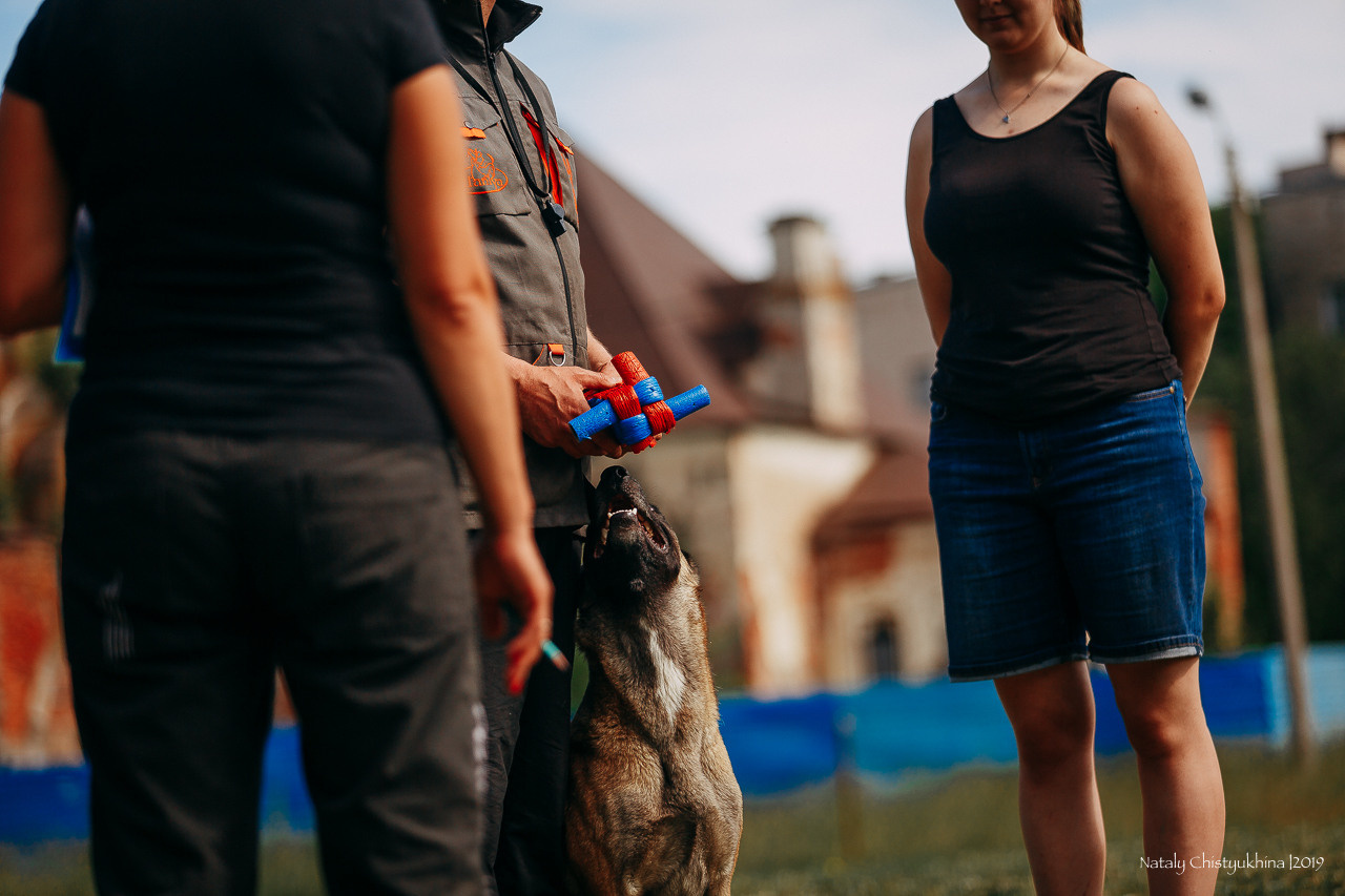 Соревнования по мондьорингу. Фотограф-анималист Наталия Чистюхина в г. Сосновый Бор и ЛО