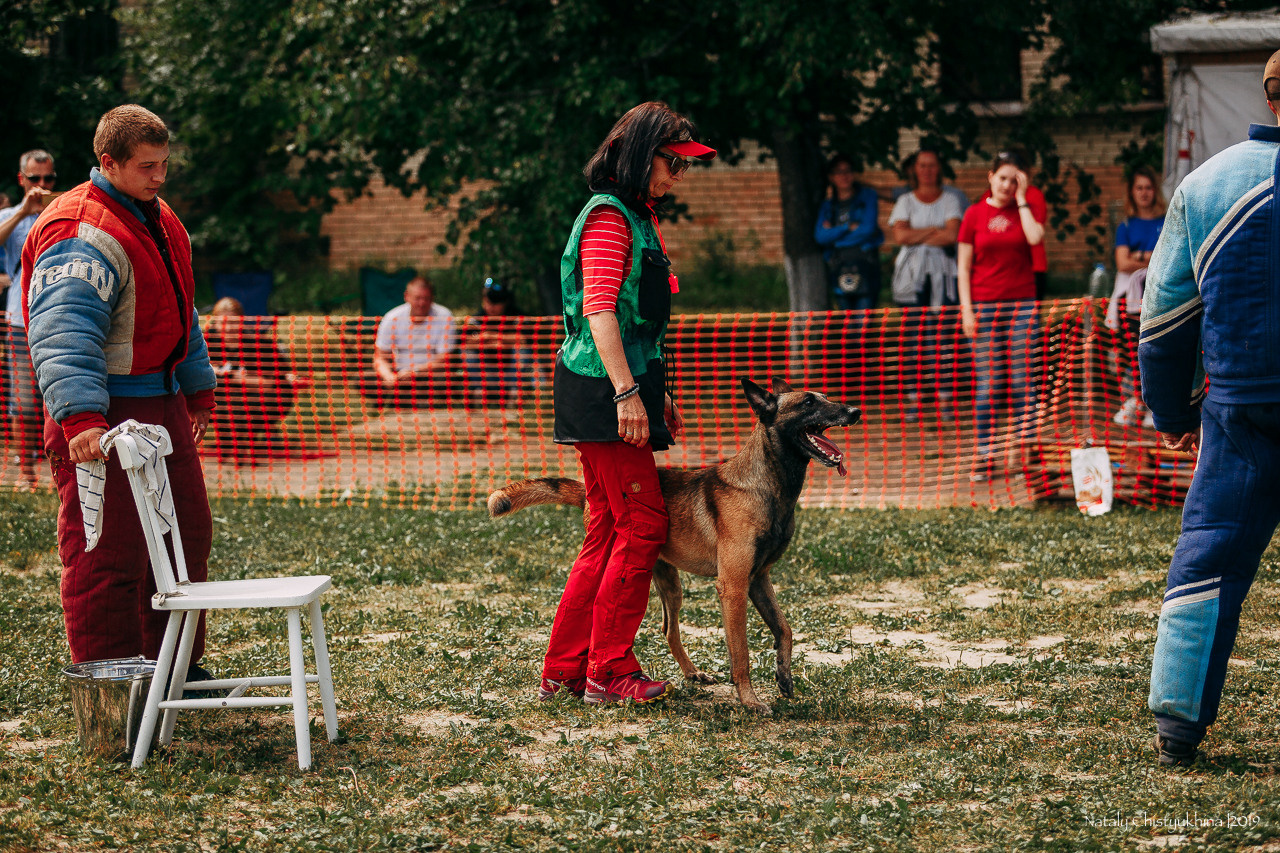 Соревнования по мондьорингу. Фотограф-анималист Наталия Чистюхина в г. Сосновый Бор и ЛО