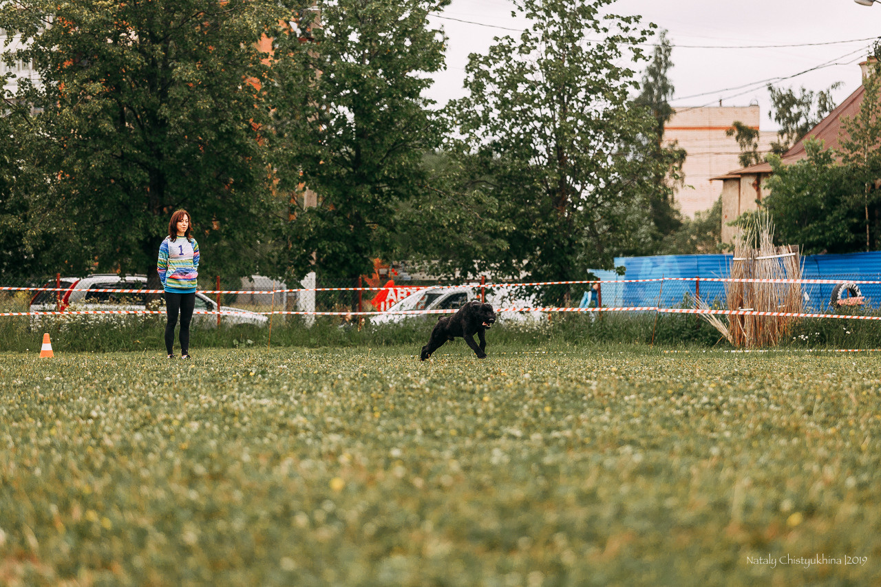 Соревнования БРР. Фотограф-анималист Наталия Чистюхина в г. Сосновый Бор и ЛО