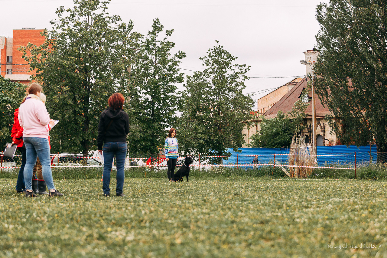 Соревнования БРР. Фотограф-анималист Наталия Чистюхина в г. Сосновый Бор и ЛО