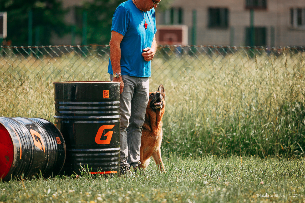Соревнования по мондьорингу. Фотограф-анималист Наталия Чистюхина в г. Сосновый Бор и ЛО