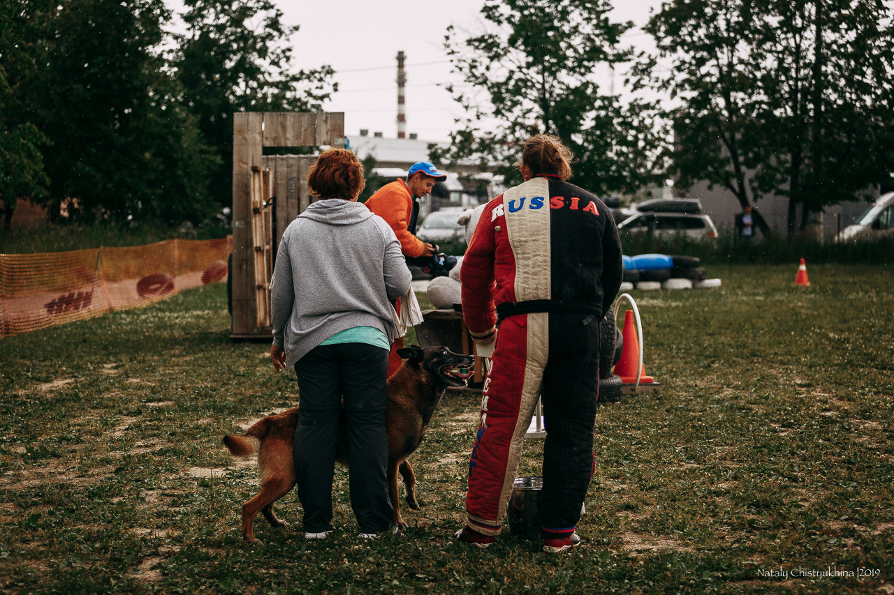 Соревнования по мондьорингу. Фотограф-анималист Наталия Чистюхина в г. Сосновый Бор и ЛО
