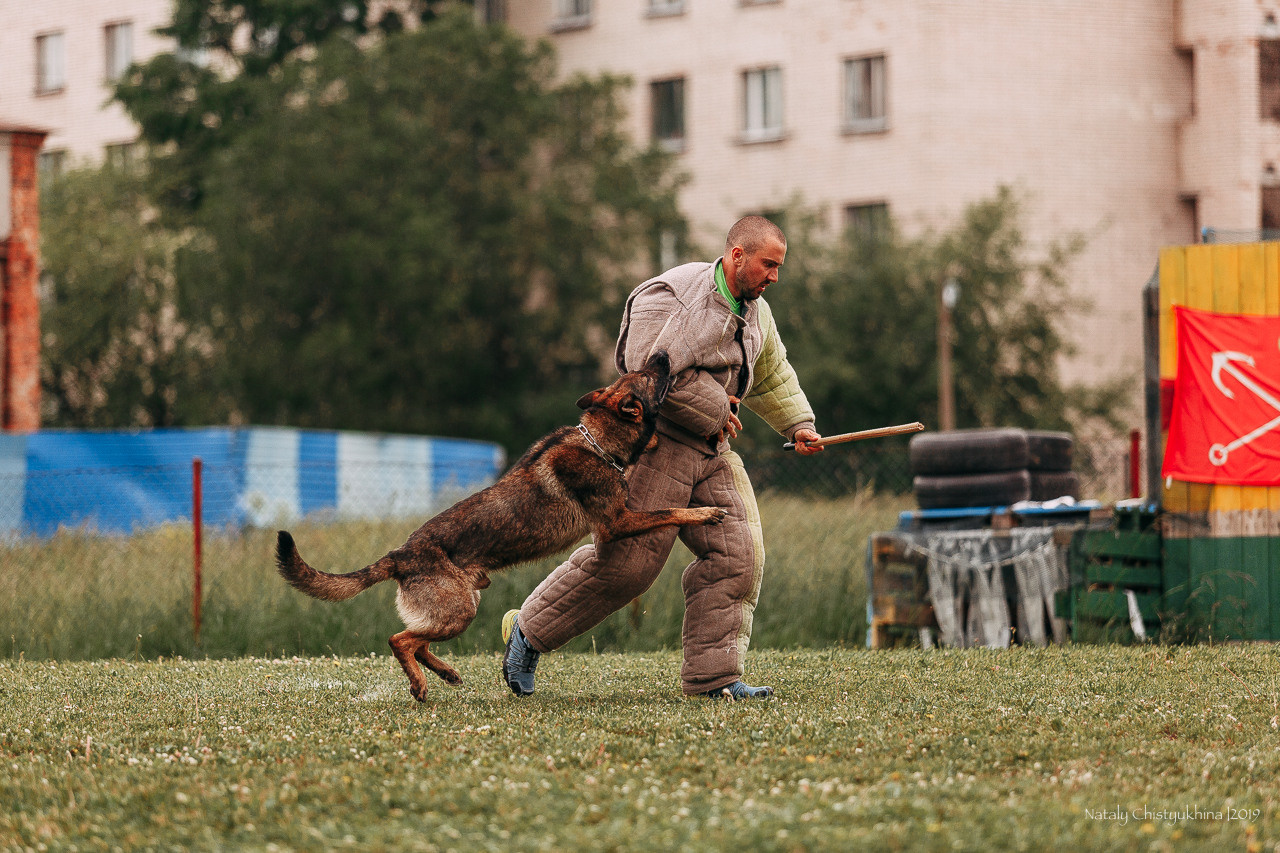Соревнования БРР. Фотограф-анималист Наталия Чистюхина в г. Сосновый Бор и ЛО