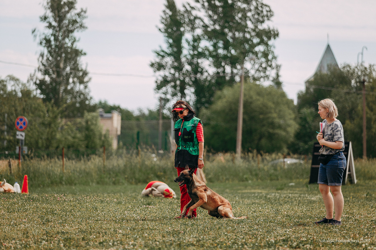 Соревнования по мондьорингу. Фотограф-анималист Наталия Чистюхина в г. Сосновый Бор и ЛО