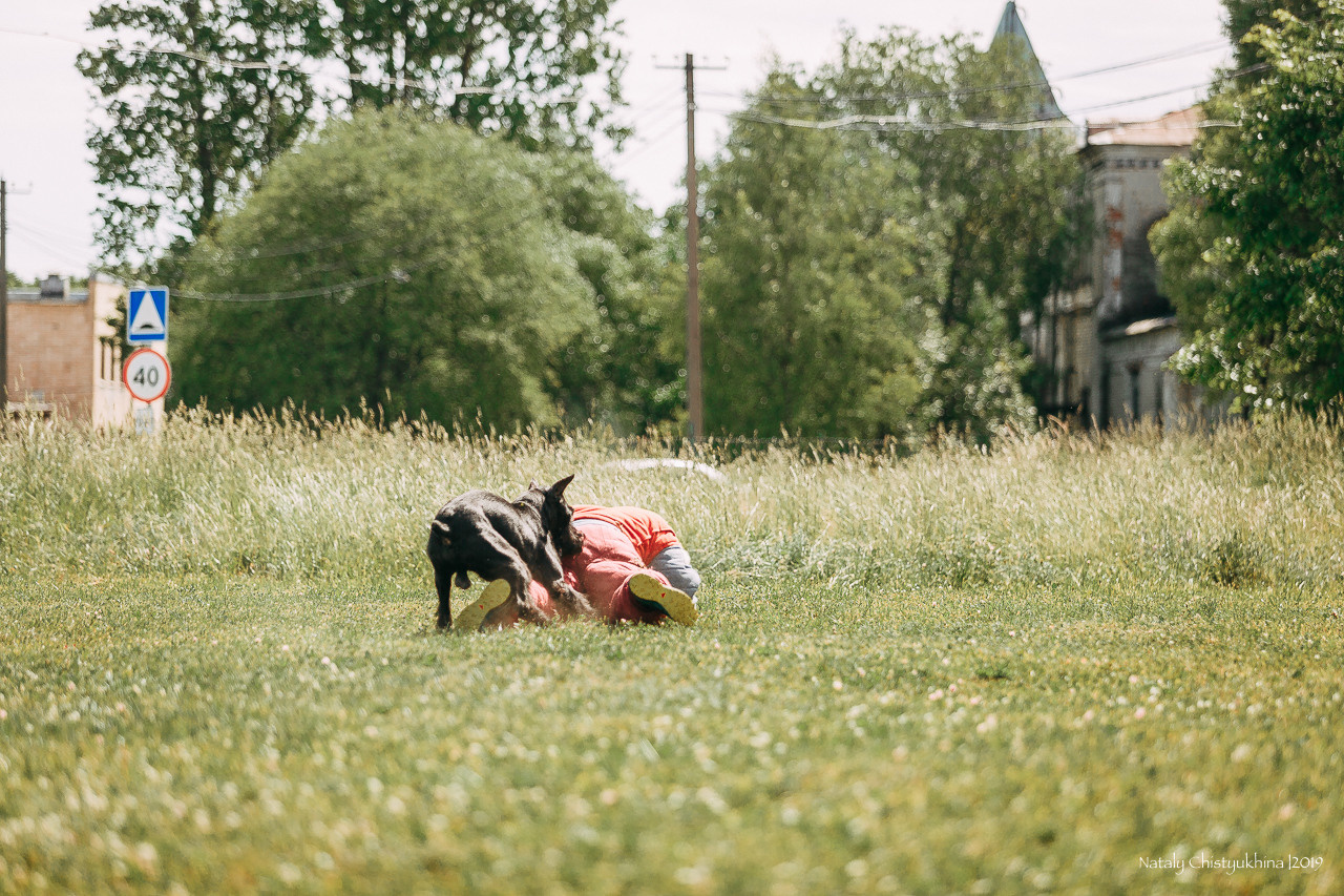 Соревнования по мондьорингу. Фотограф-анималист Наталия Чистюхина в г. Сосновый Бор и ЛО