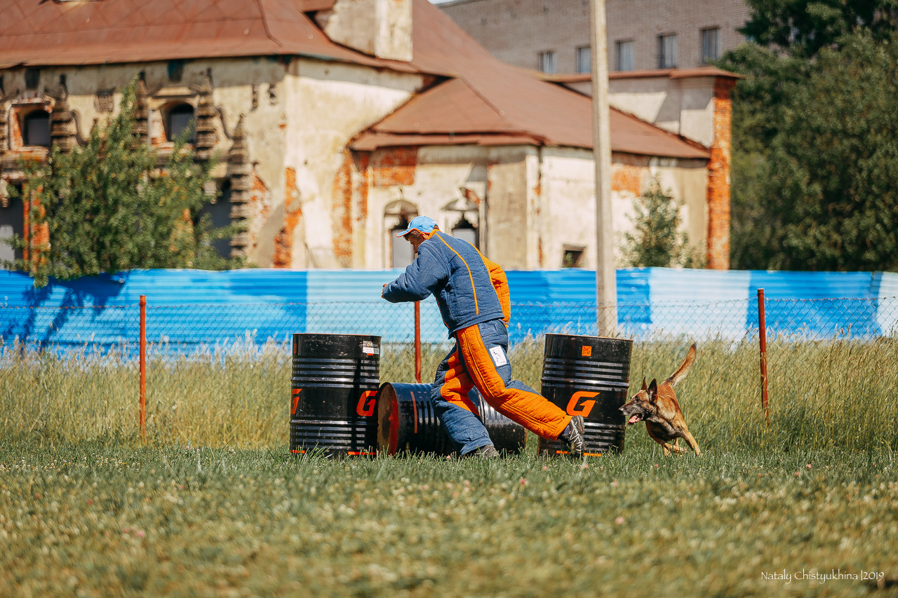 Соревнования по мондьорингу. Фотограф-анималист Наталия Чистюхина в г. Сосновый Бор и ЛО