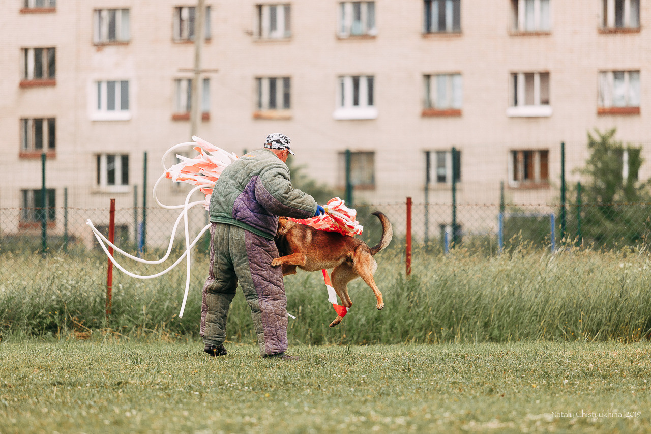 Соревнования БРР. Фотограф-анималист Наталия Чистюхина в г. Сосновый Бор и ЛО