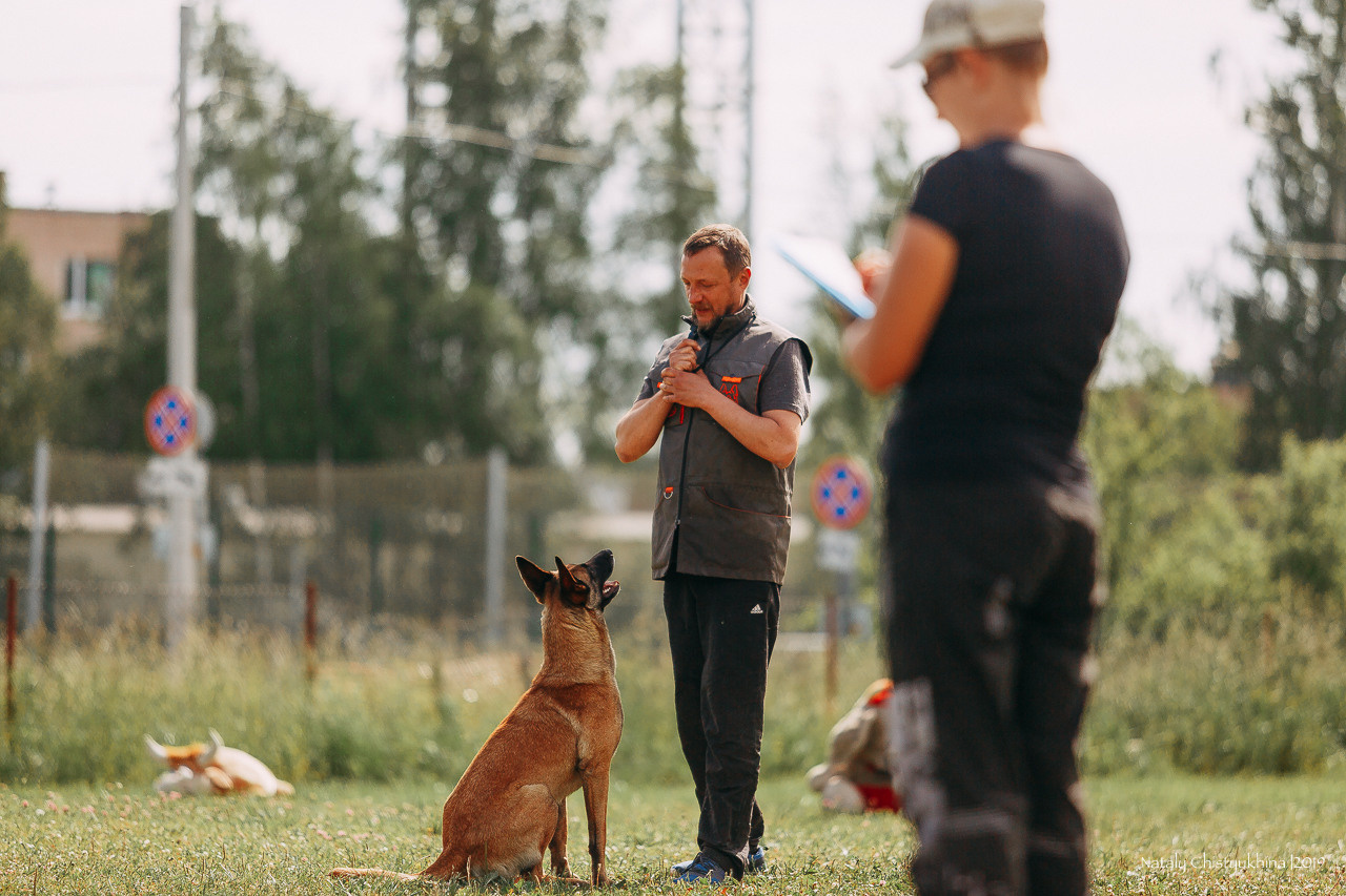 Соревнования по мондьорингу. Фотограф-анималист Наталия Чистюхина в г. Сосновый Бор и ЛО