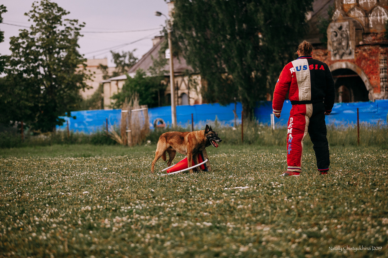 Соревнования по мондьорингу. Фотограф-анималист Наталия Чистюхина в г. Сосновый Бор и ЛО
