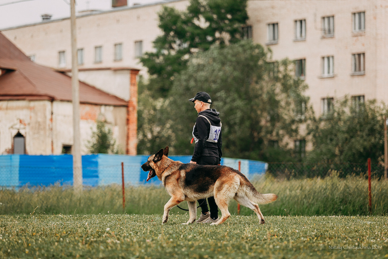 Соревнования БРР. Фотограф-анималист Наталия Чистюхина в г. Сосновый Бор и ЛО