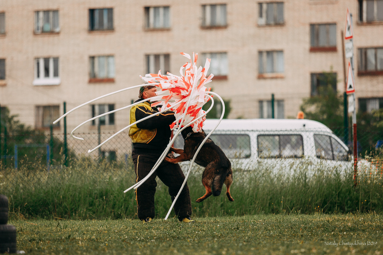 Соревнования БРР. Фотограф-анималист Наталия Чистюхина в г. Сосновый Бор и ЛО