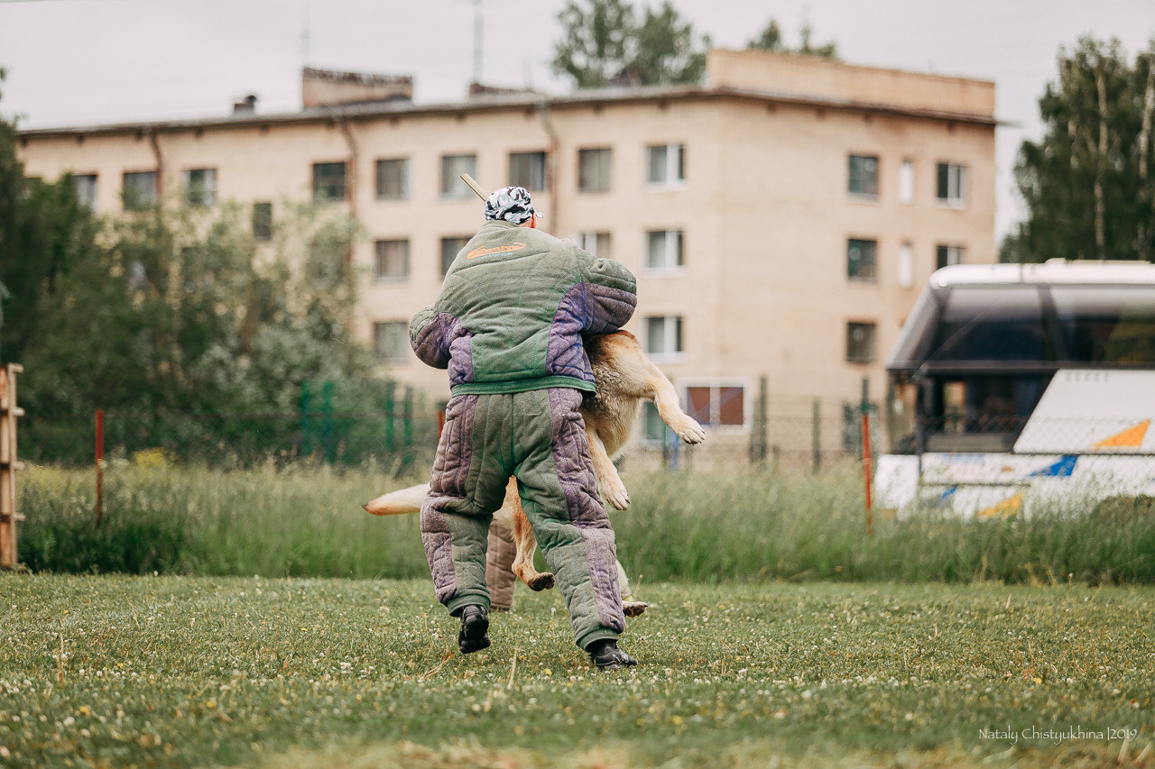 Соревнования БРР. Фотограф-анималист Наталия Чистюхина в г. Сосновый Бор и ЛО