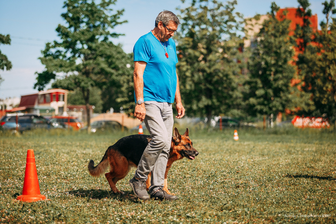 Соревнования по мондьорингу. Фотограф-анималист Наталия Чистюхина в г. Сосновый Бор и ЛО
