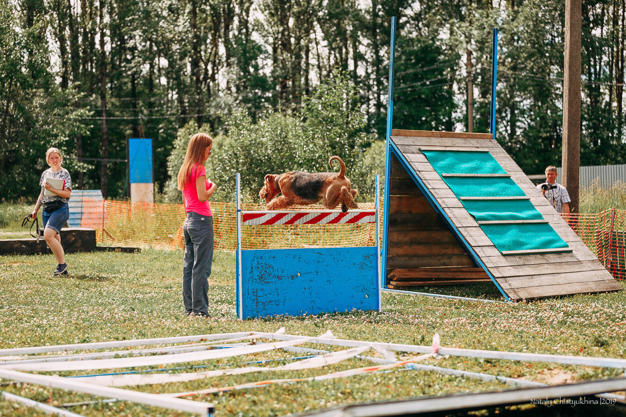Соревнования по мондьорингу. Фотограф-анималист Наталия Чистюхина в г. Сосновый Бор и ЛО